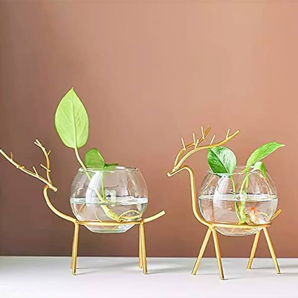 Glass Ball Planter